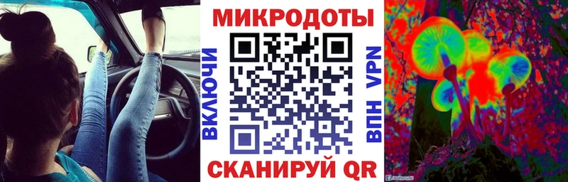 Псилоцибиновые грибы Psilocybe  Озёрск 